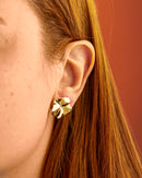 Brinco Dourado Flor Orgânica Polida