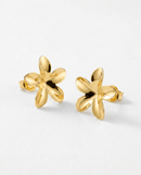 Brinco Folheado a Ouro 18k Flor Estilizada Pétalas Alongadas
