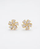 Brinco Folheado a Ouro 18k Flor com Pedras em Gota