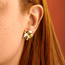 Kit Dourado Flor Orgânica Polida