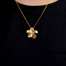 Kit Dourado Flor Orgânica Polida
